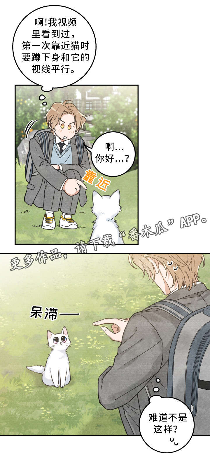 第16话 第13页