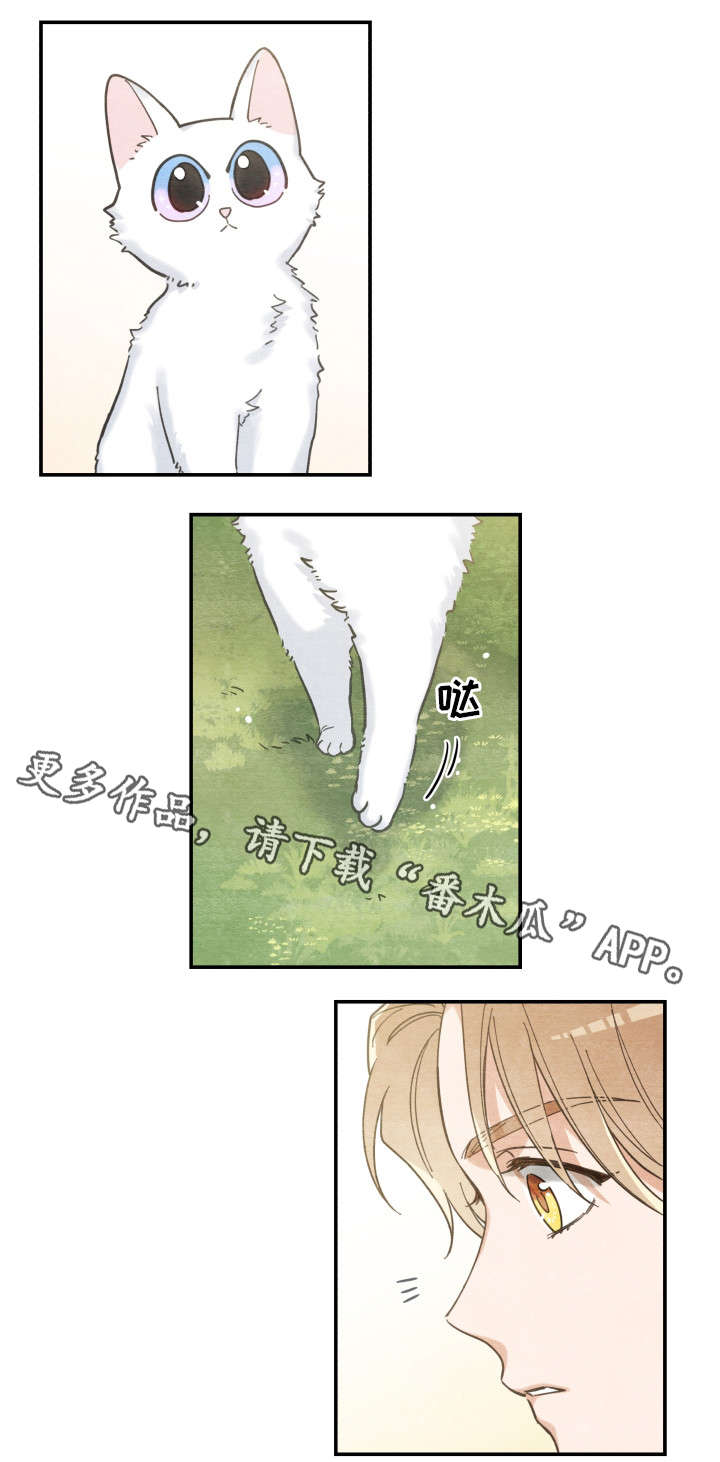 第16话 第14页