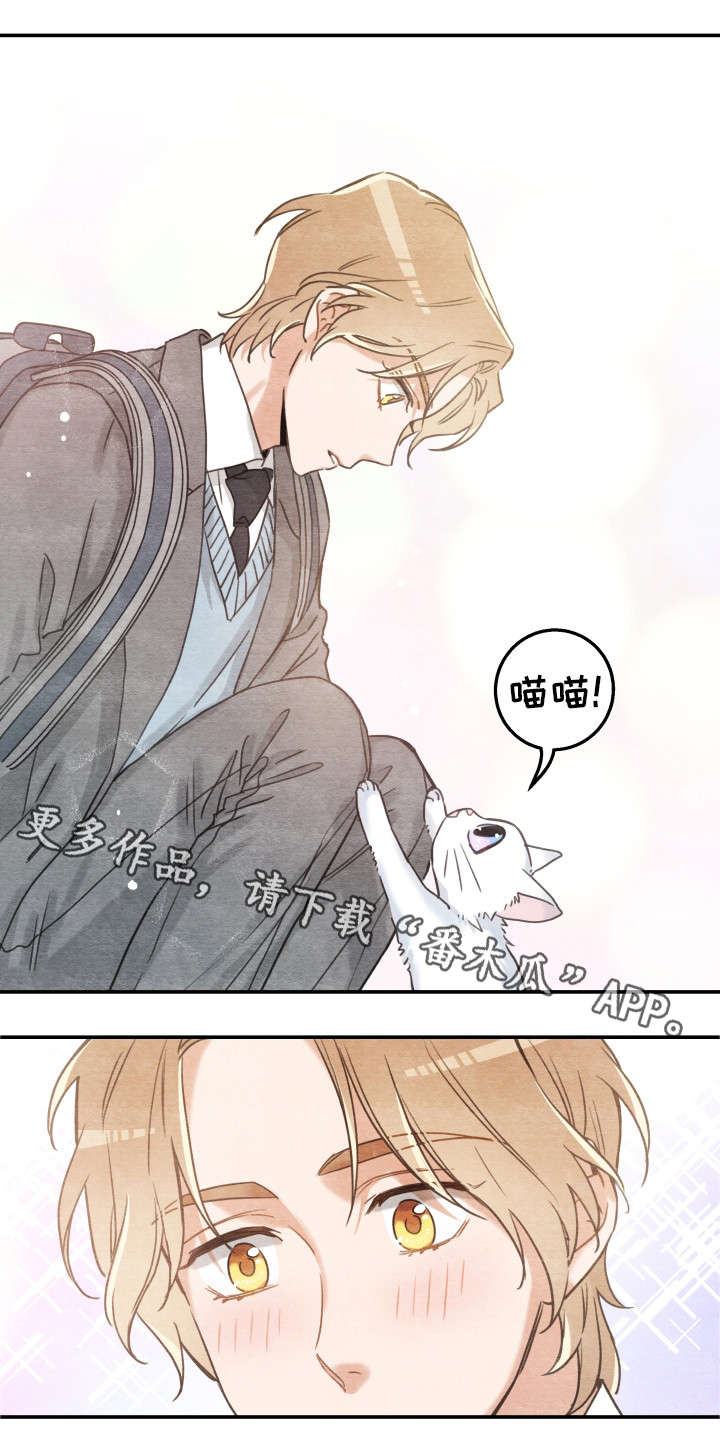 第16话 第16页