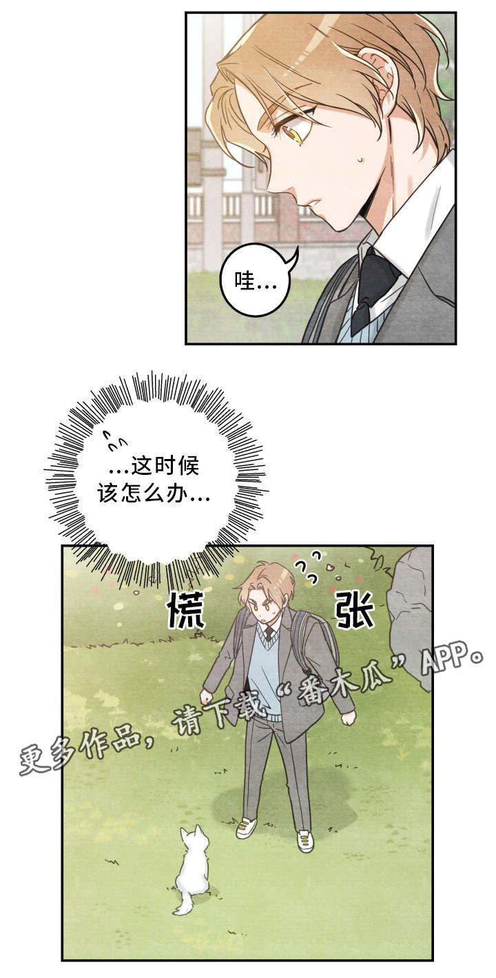 第16话 第12页