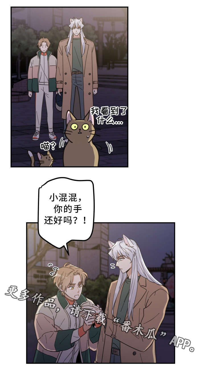 第15话 第11页