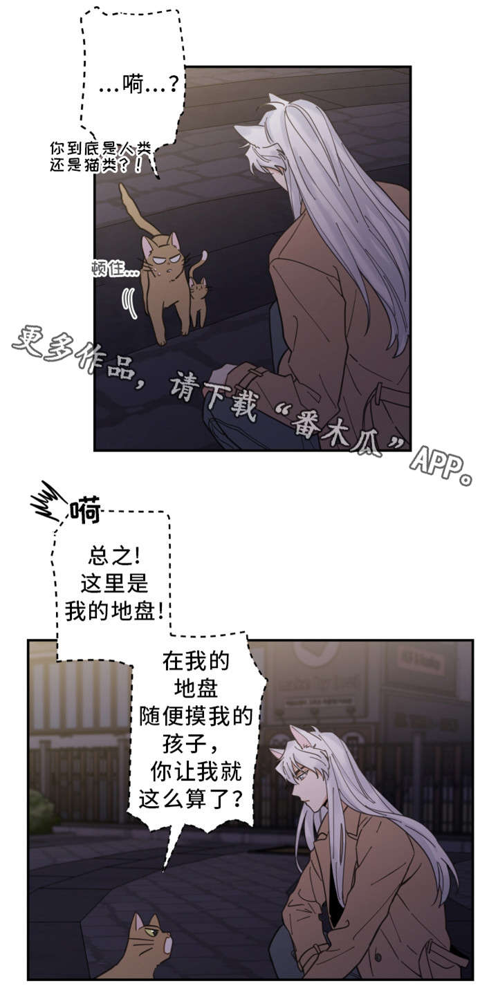 第15话 第8页
