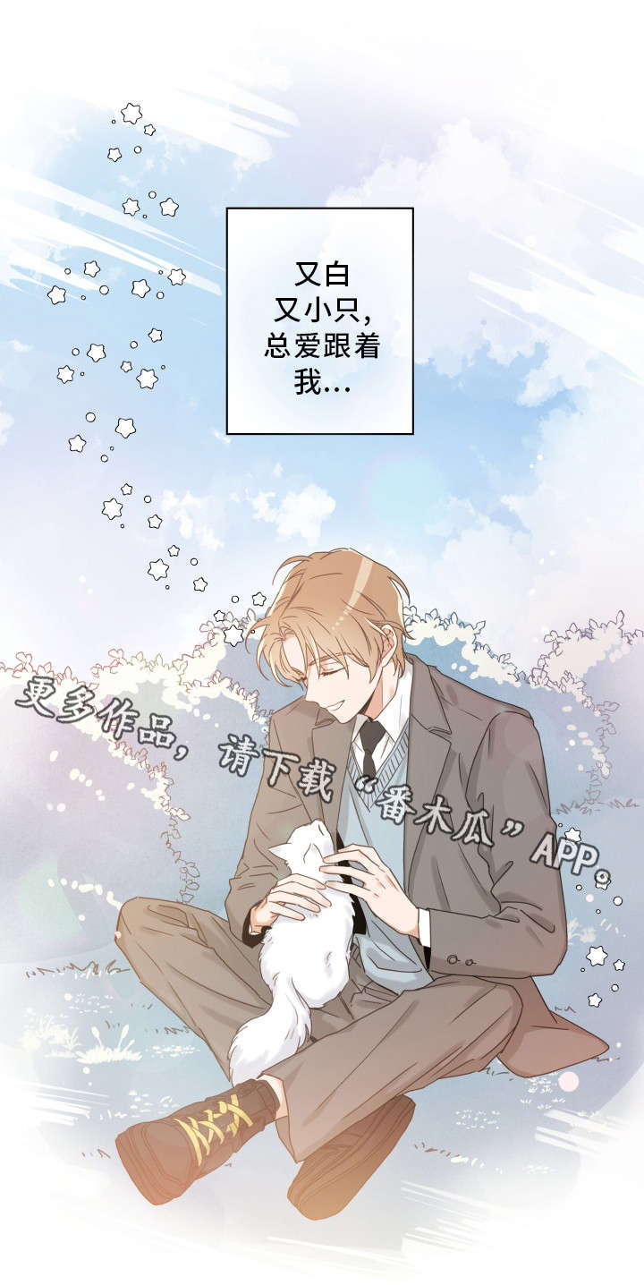 第15话 第17页