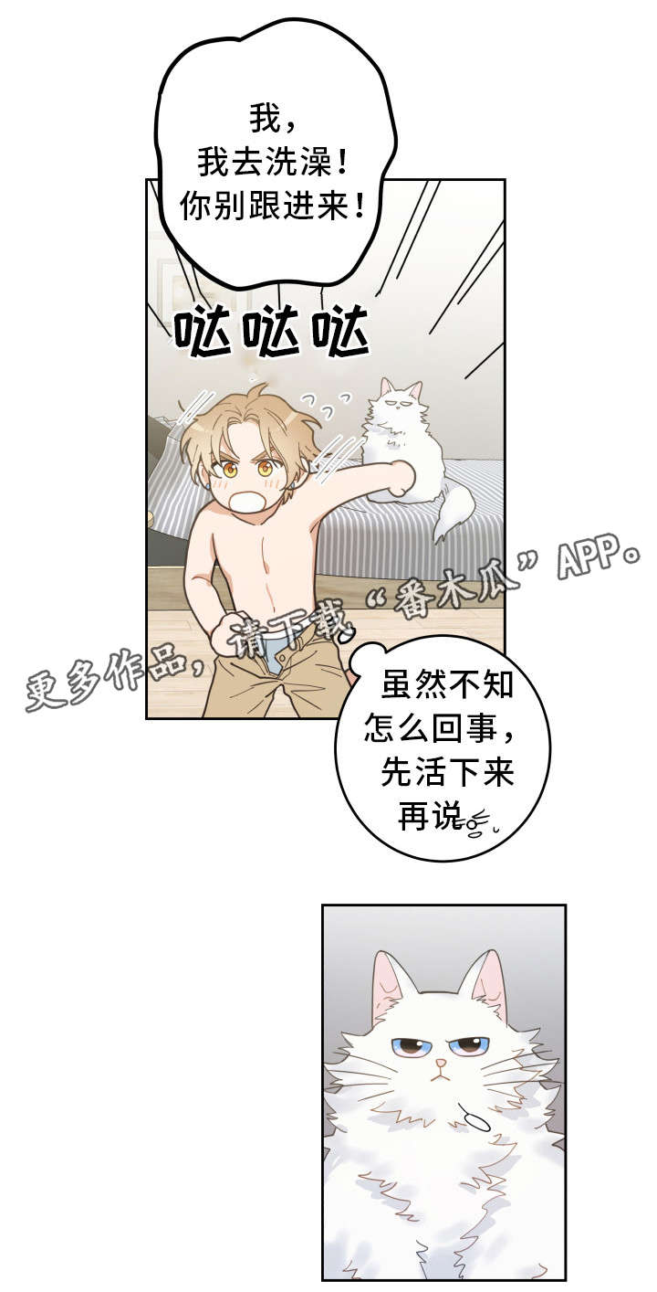第8话 第9页