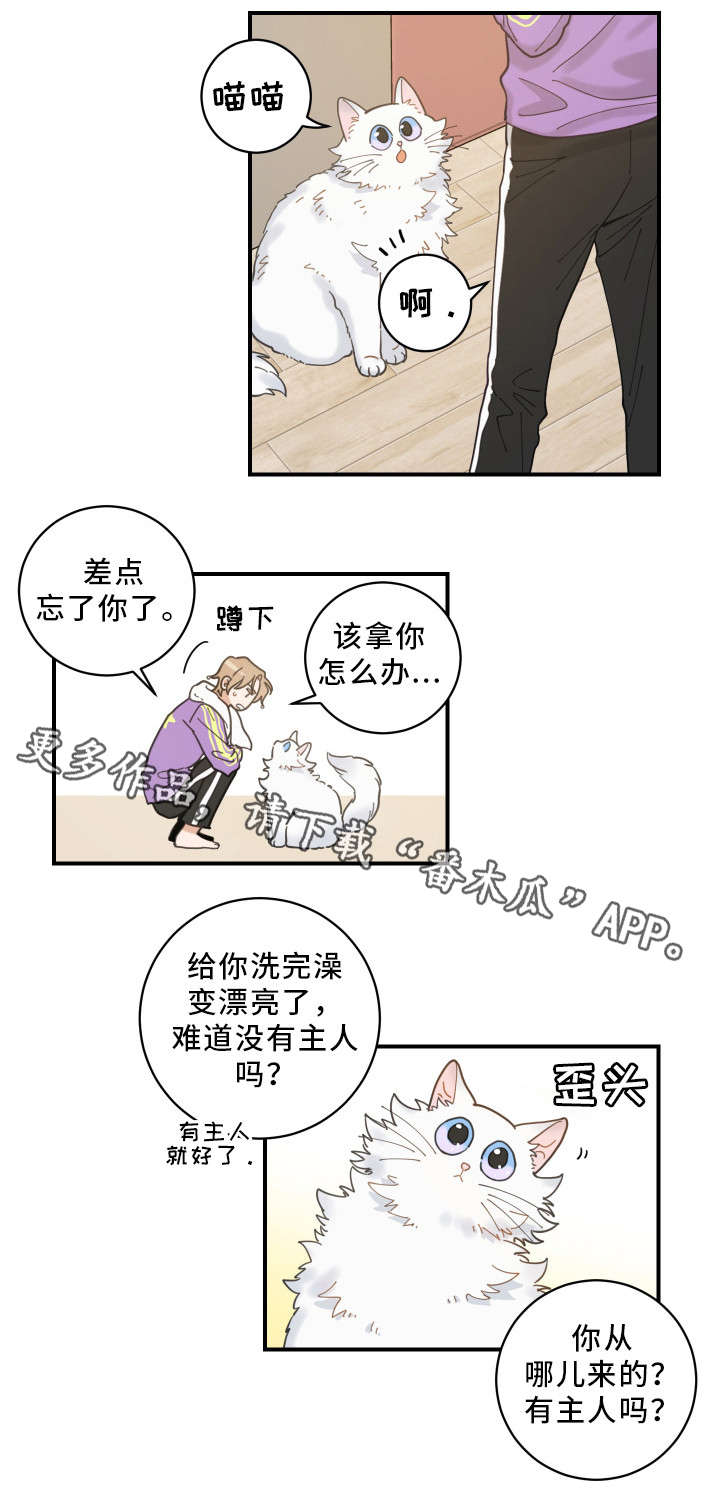 第4话 第7页