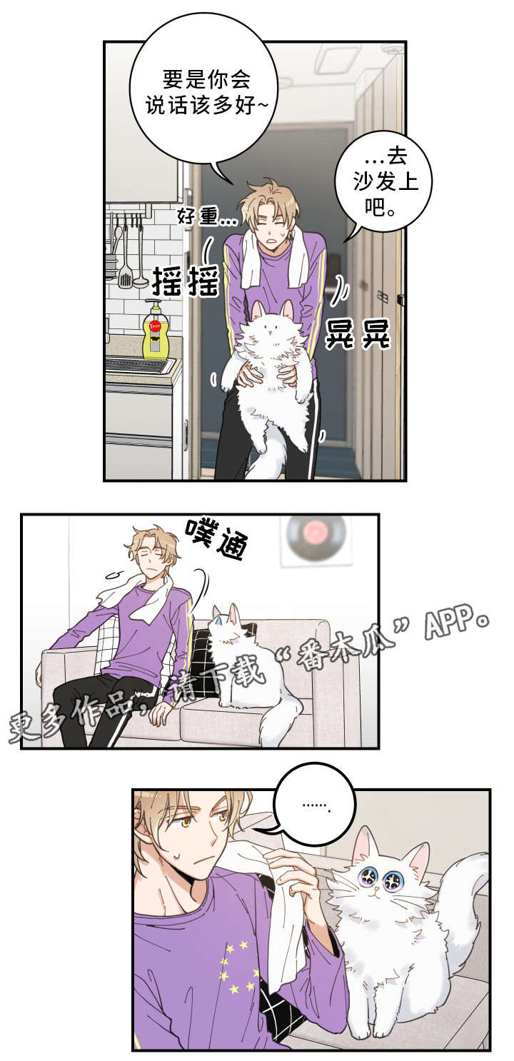 第4话 第8页