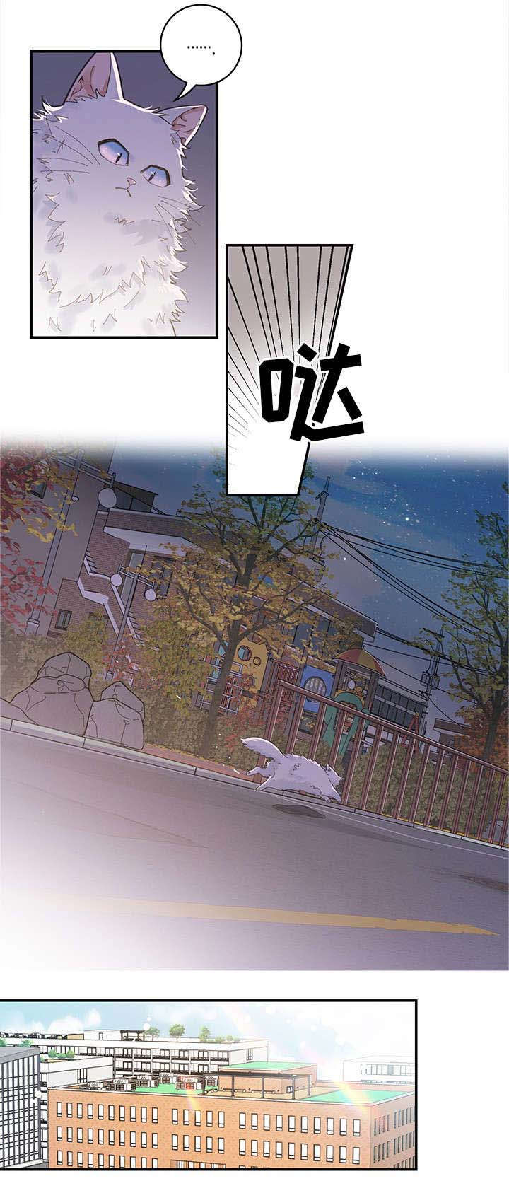 第1话 第5页