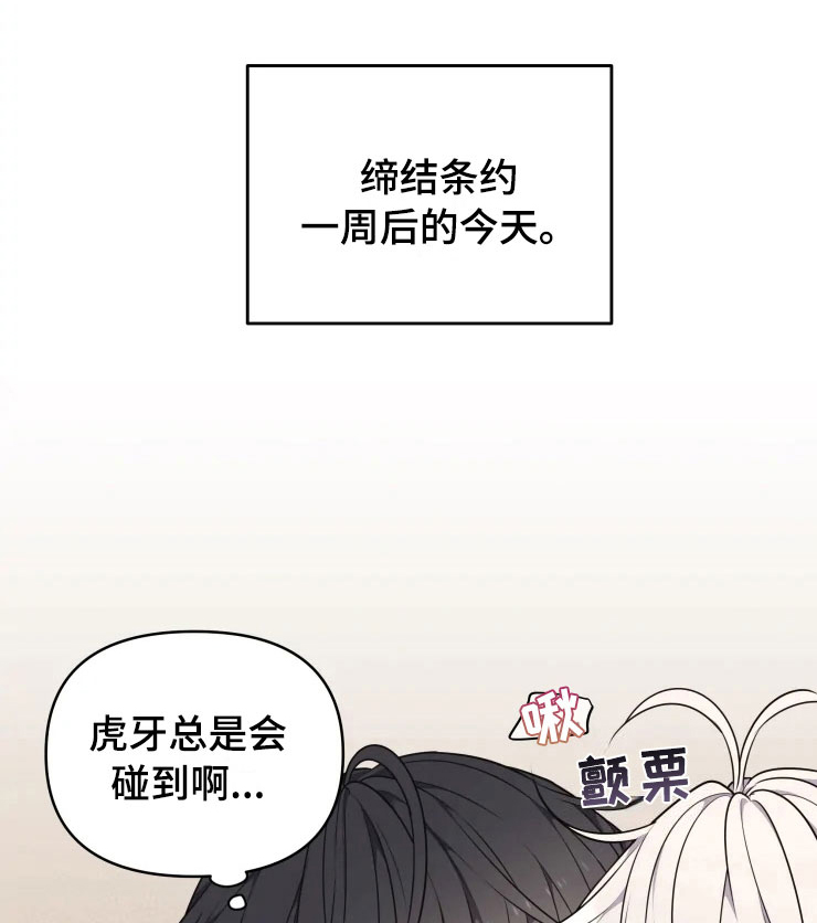 第11话 第8页
