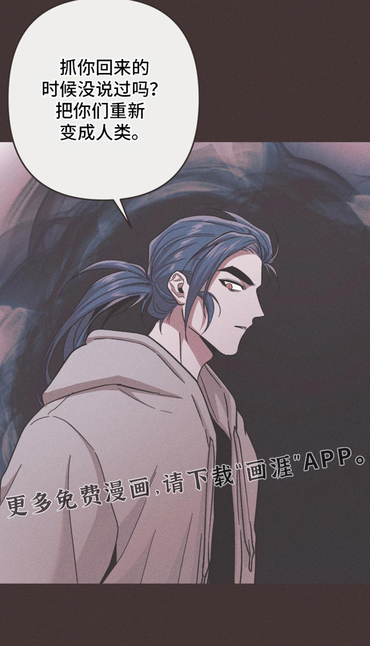 第172话16