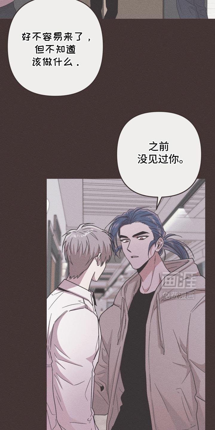 第172话13