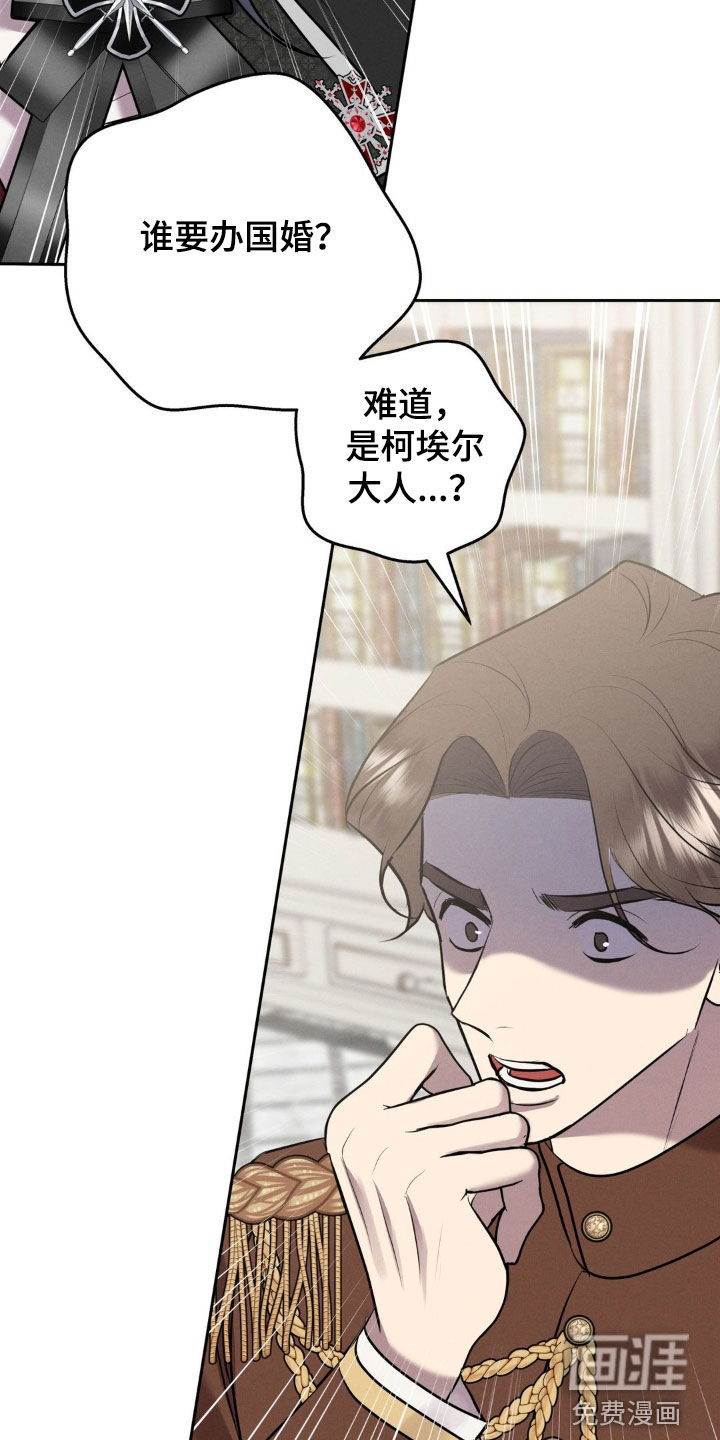 第41话 第5页