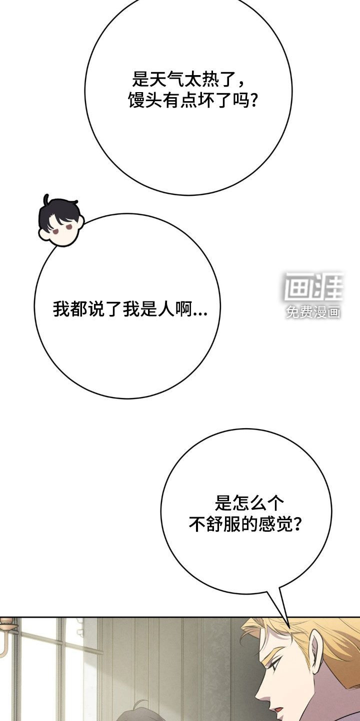 第38话 第10页