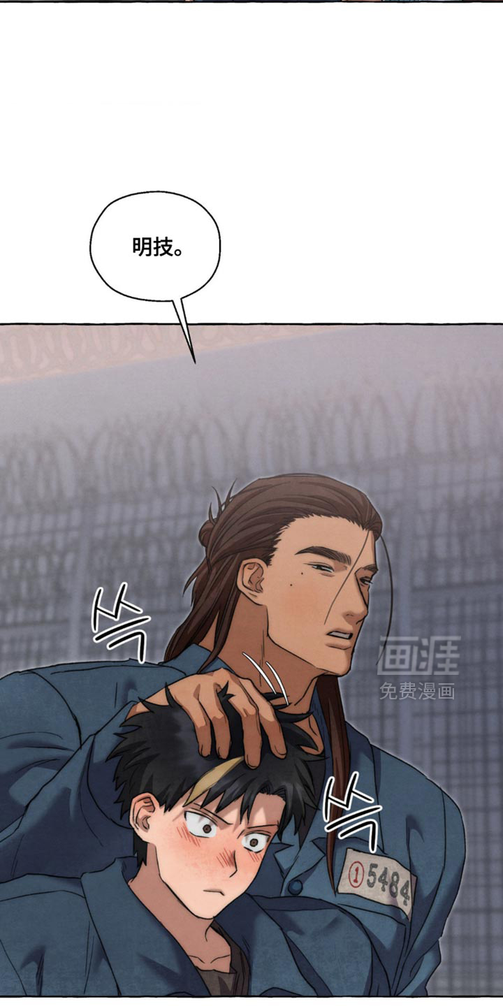 第116话 第13页