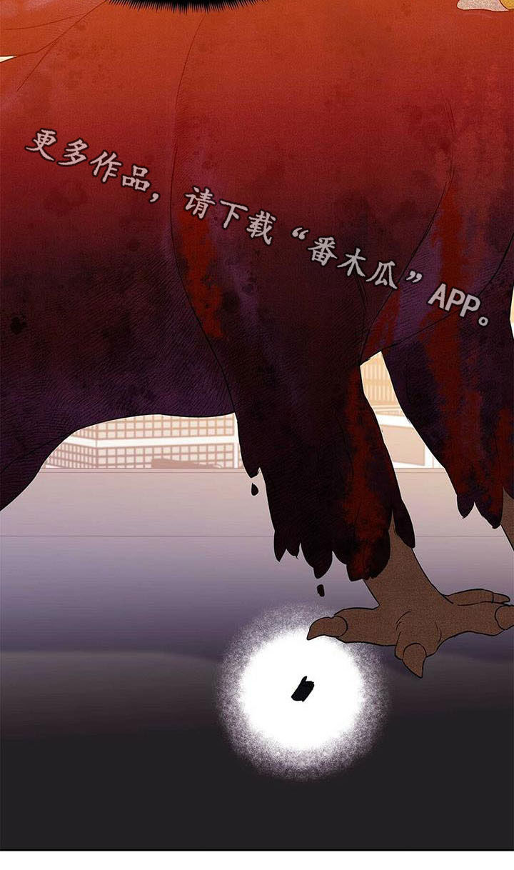 第52话23