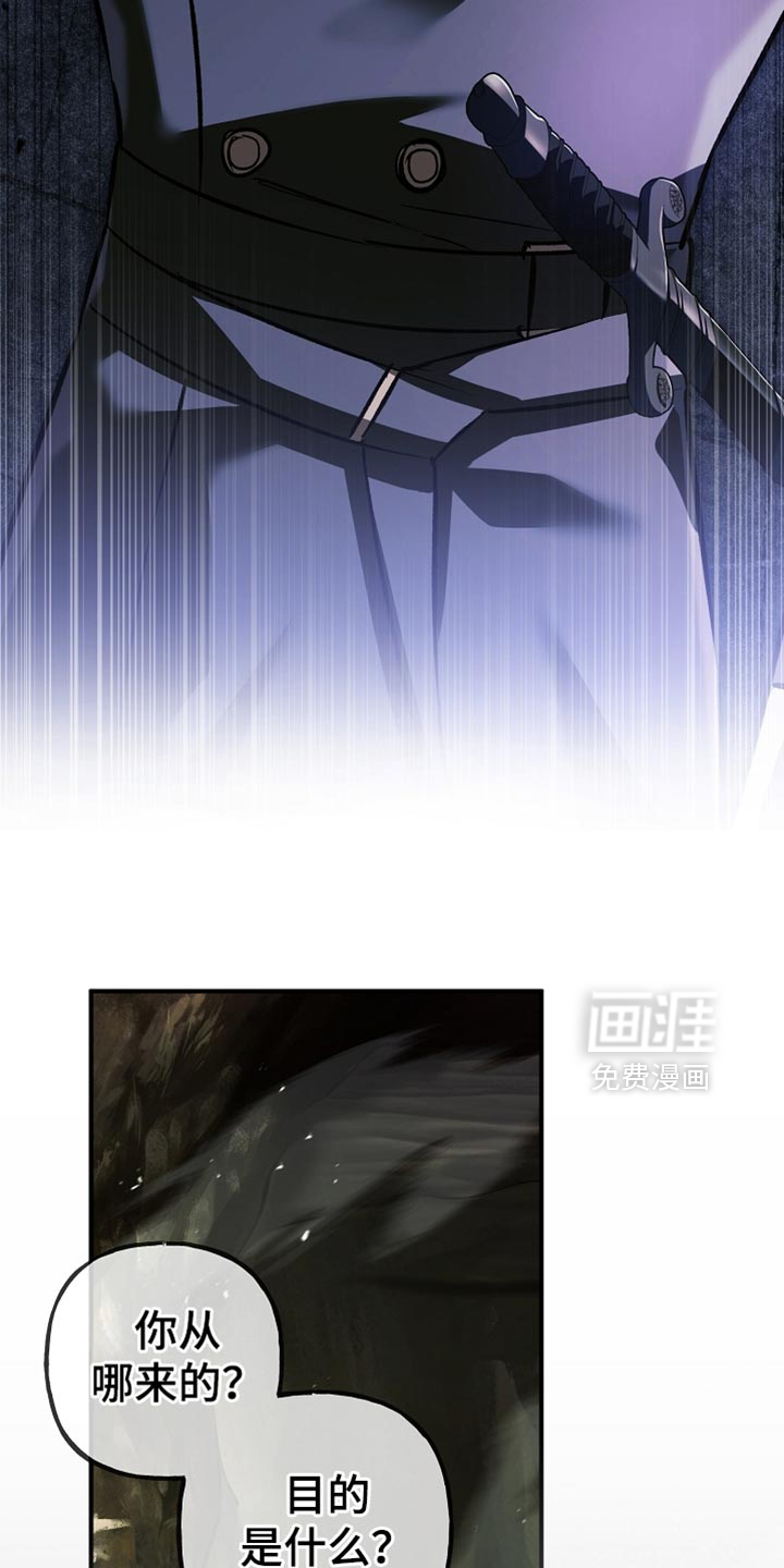 第120话24
