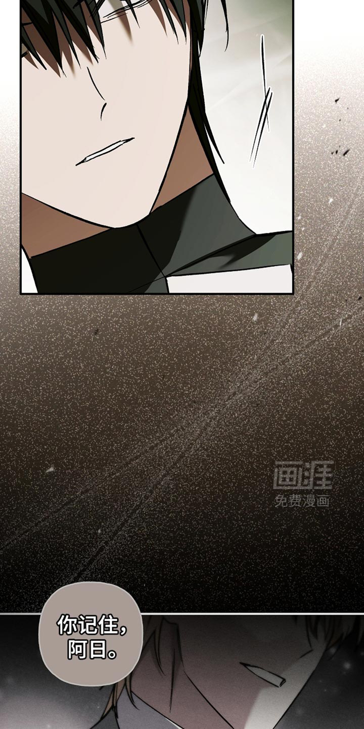 第120话12