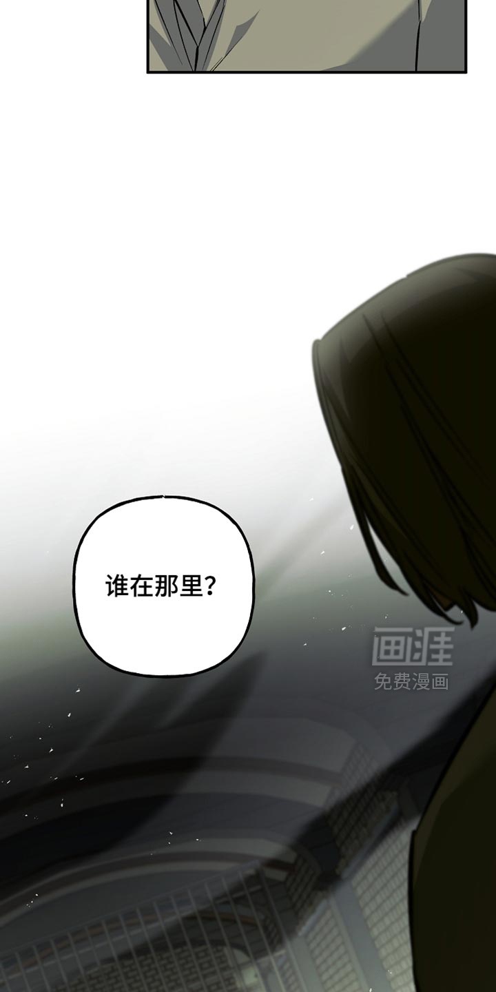 第117话13