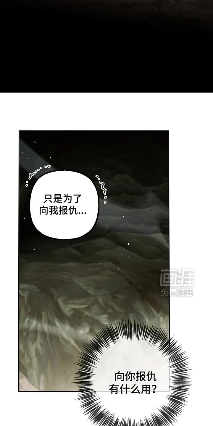 第116话13