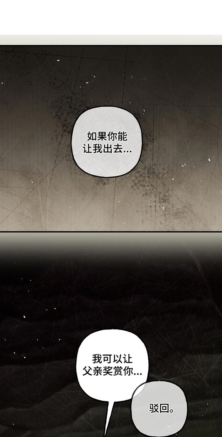 第116话17