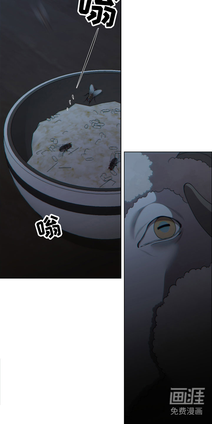 第8话11