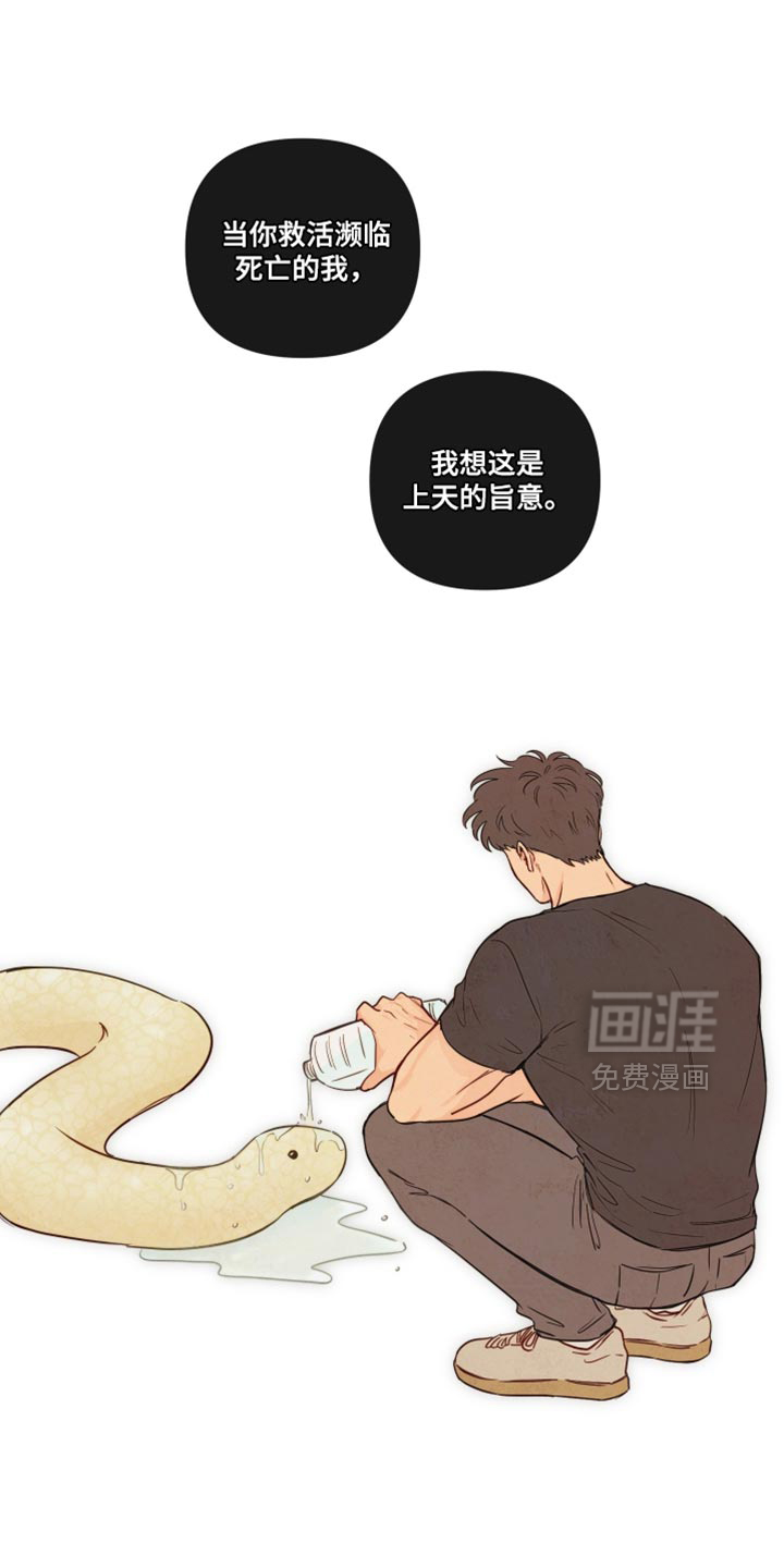 第83话12