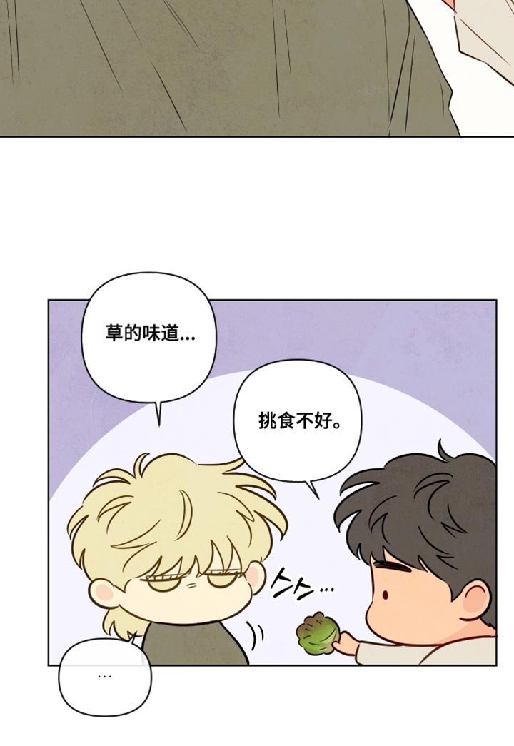 第80话11