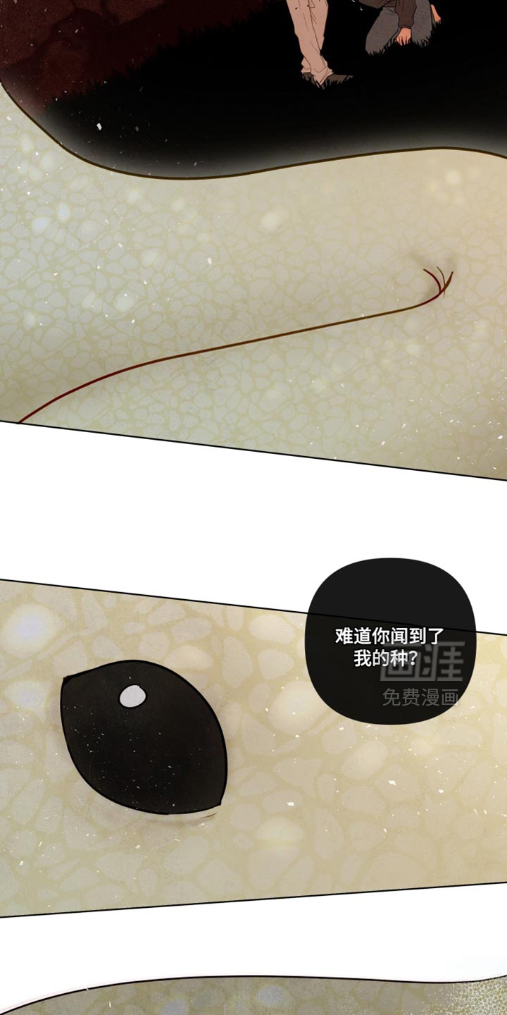 第70话2