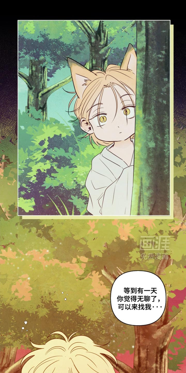 第52话8