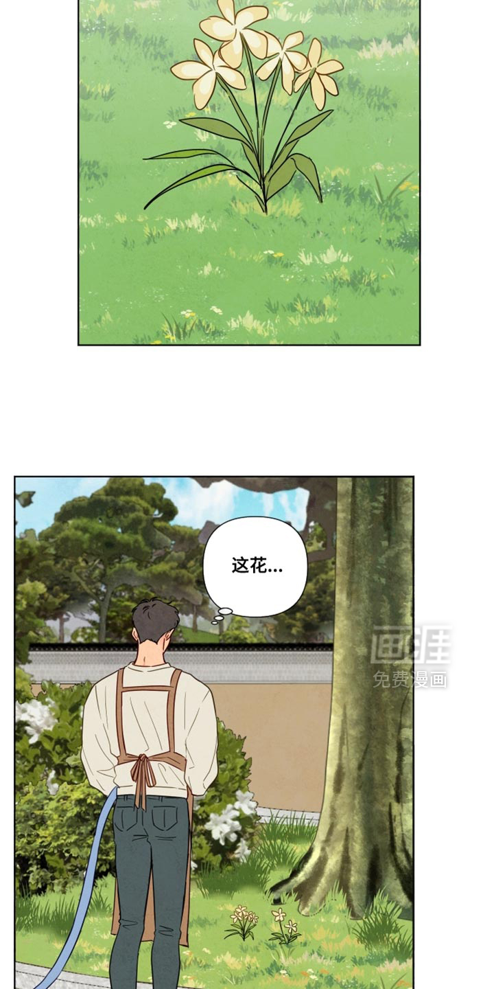 第52话11