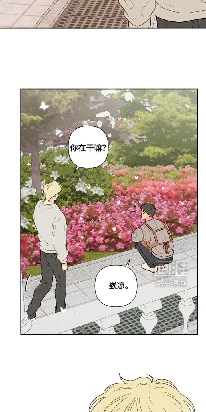 第51话11