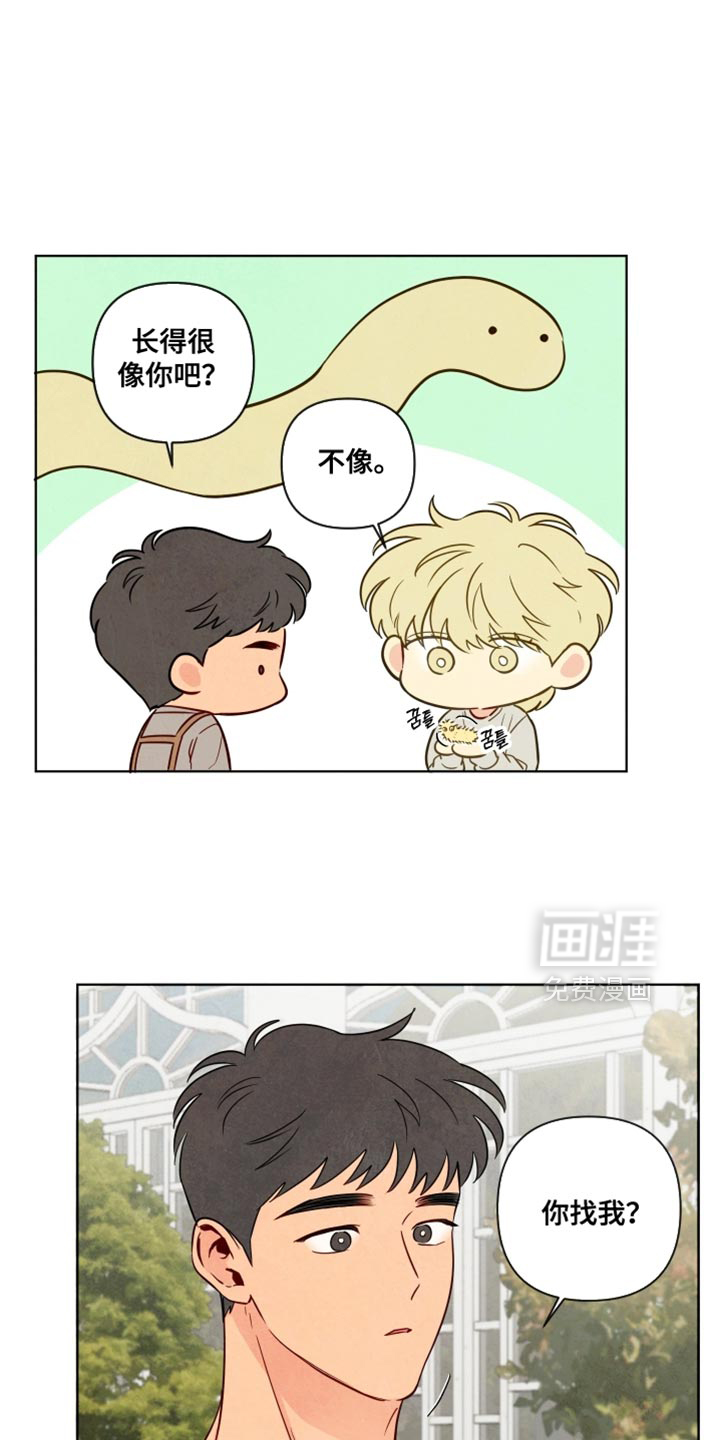 第51话15