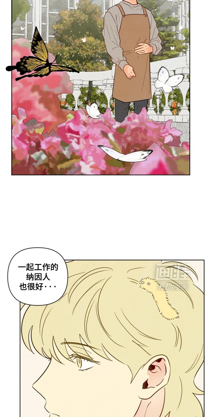 第51话18