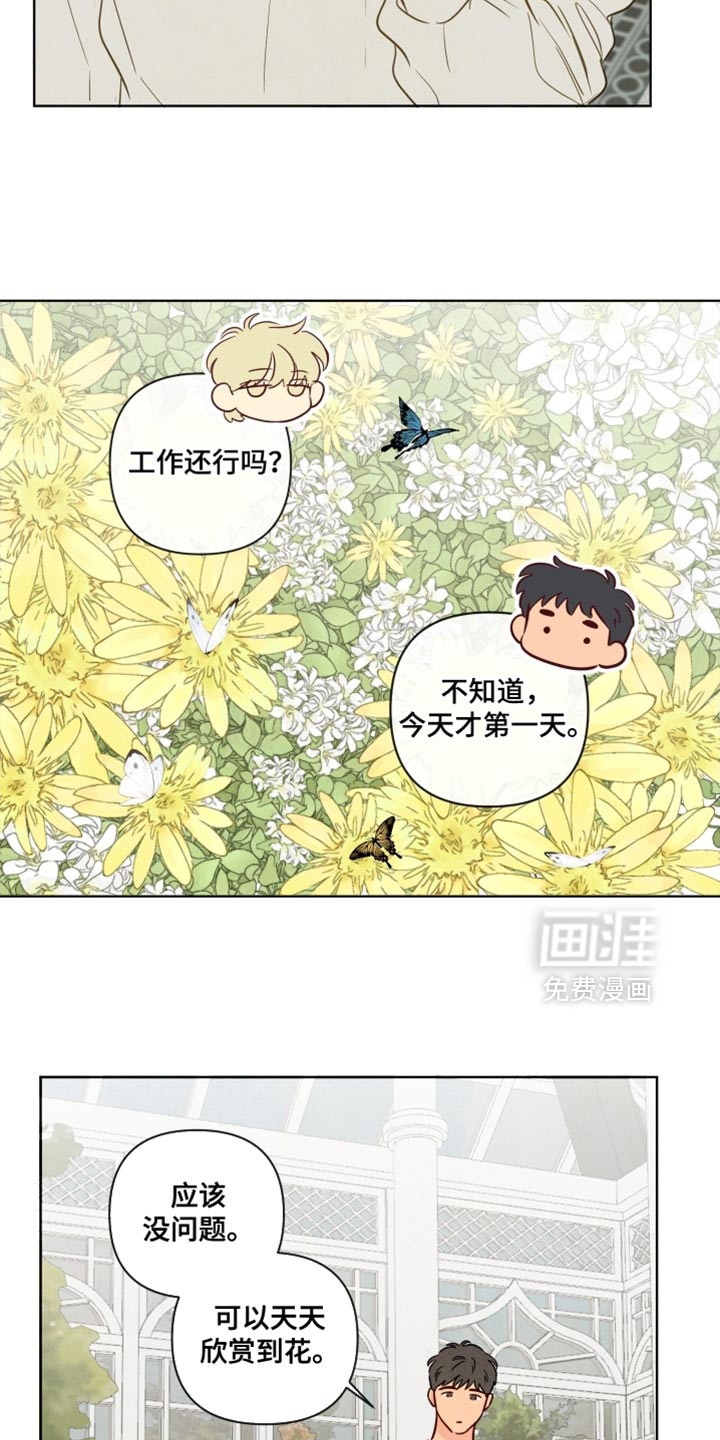 第51话17