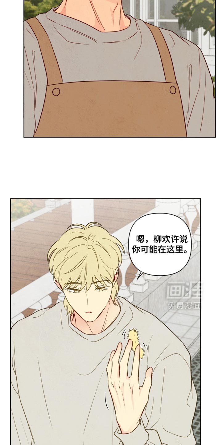 第51话16