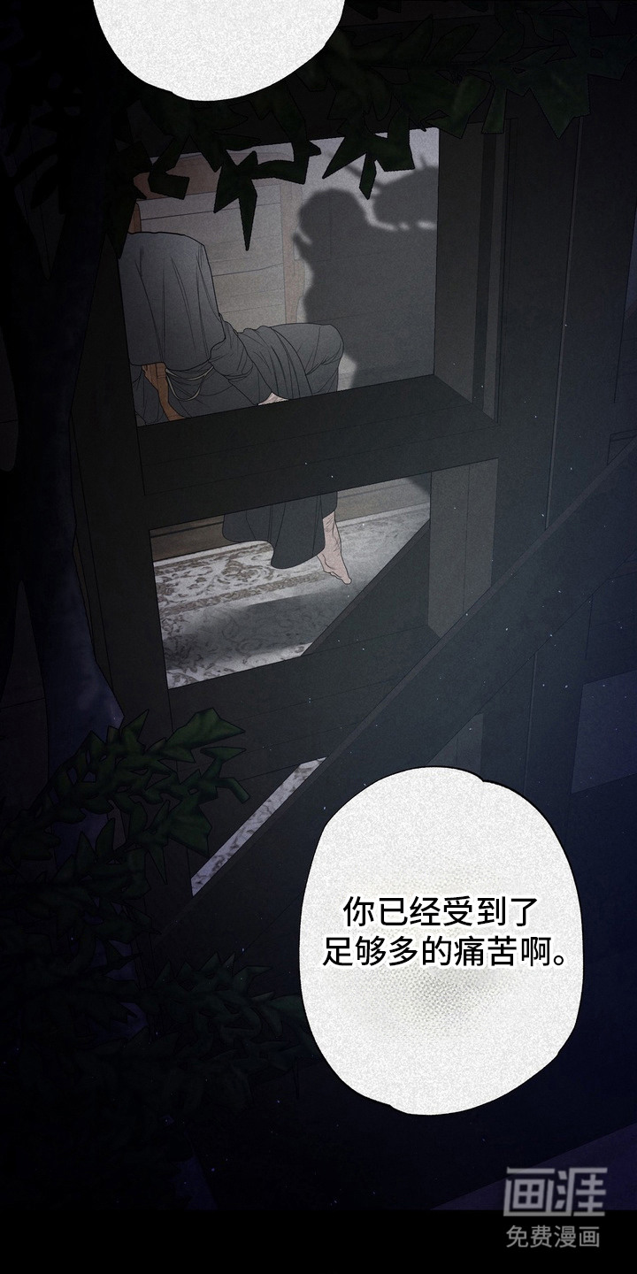 第53话 第17页