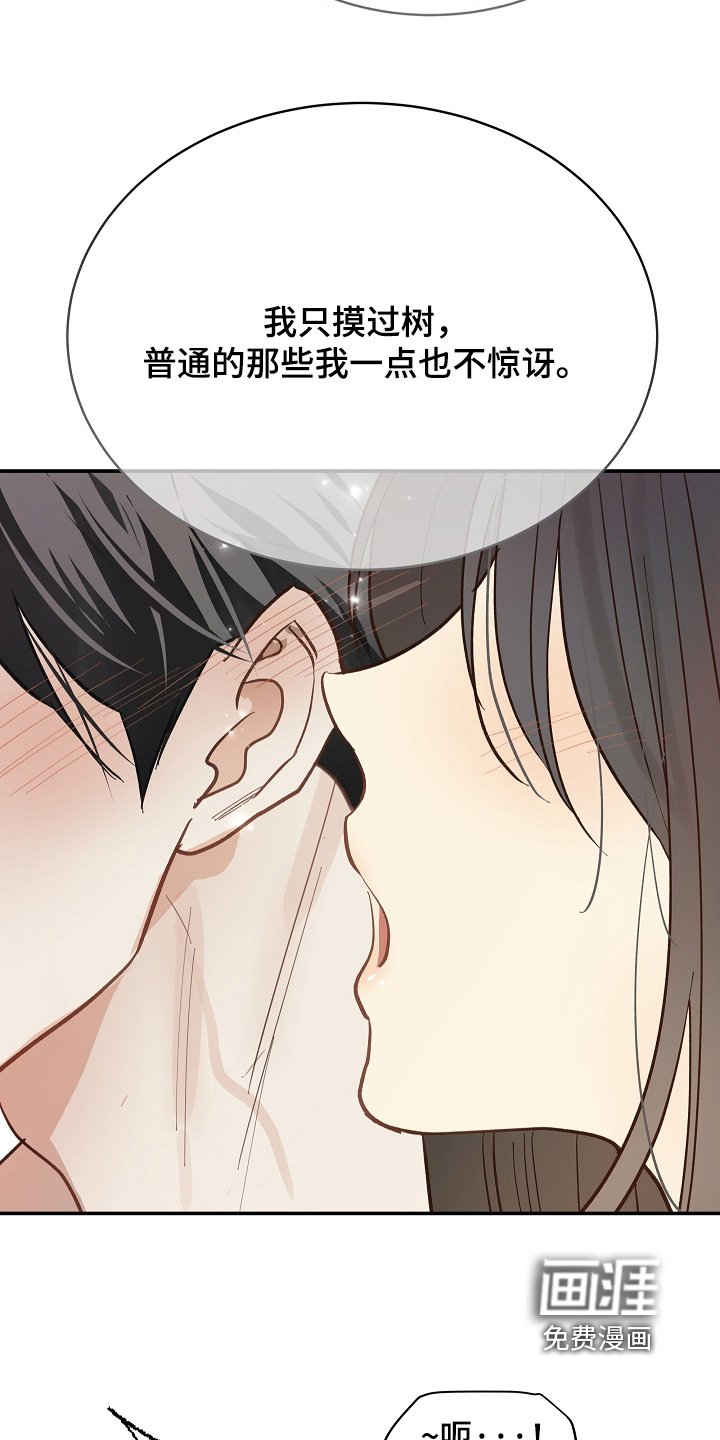 第86话 第17页