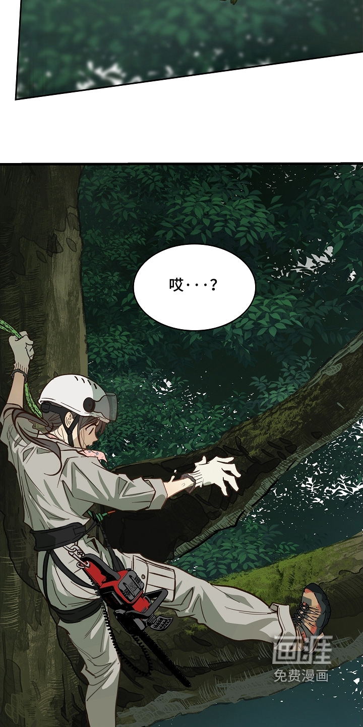 第66话29