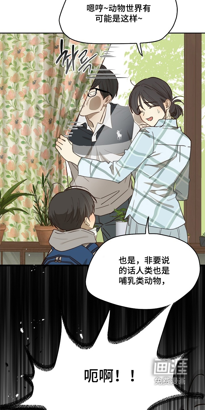 第50话 第14页