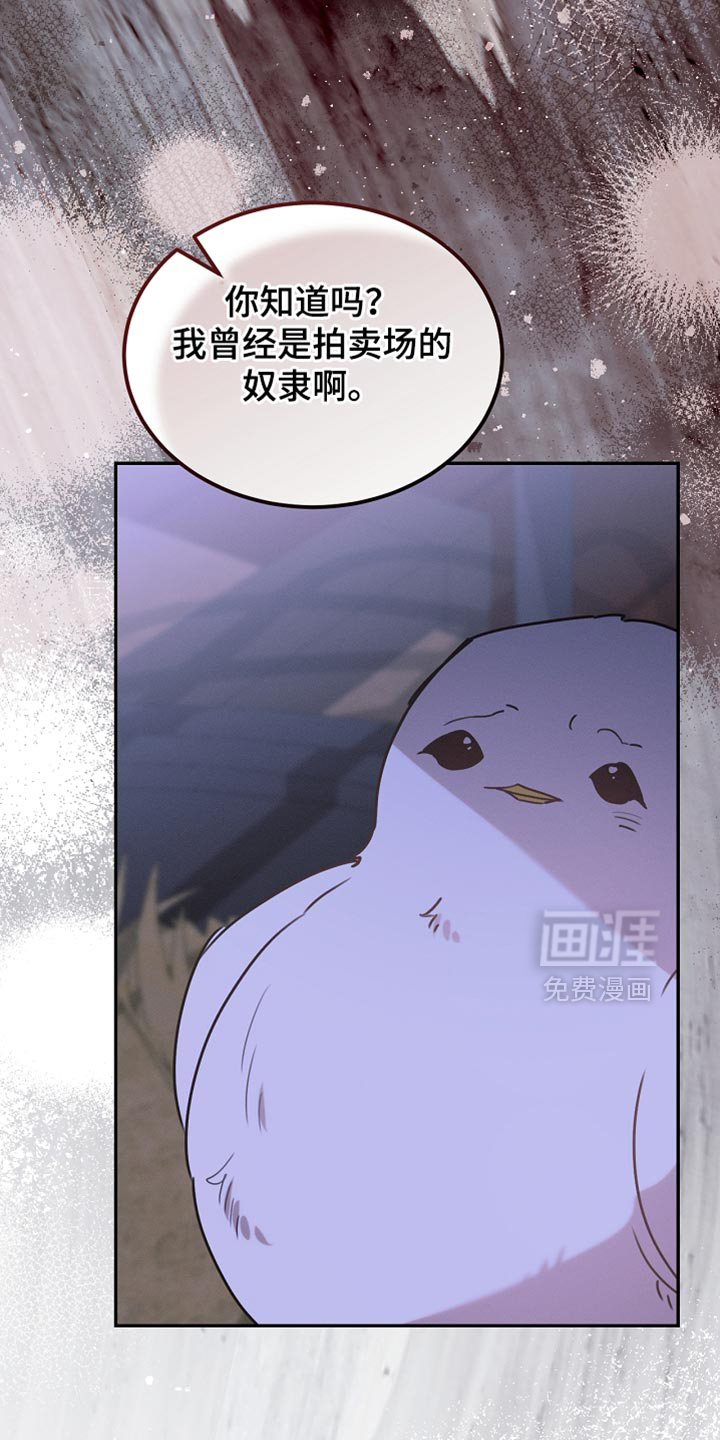 第126话9