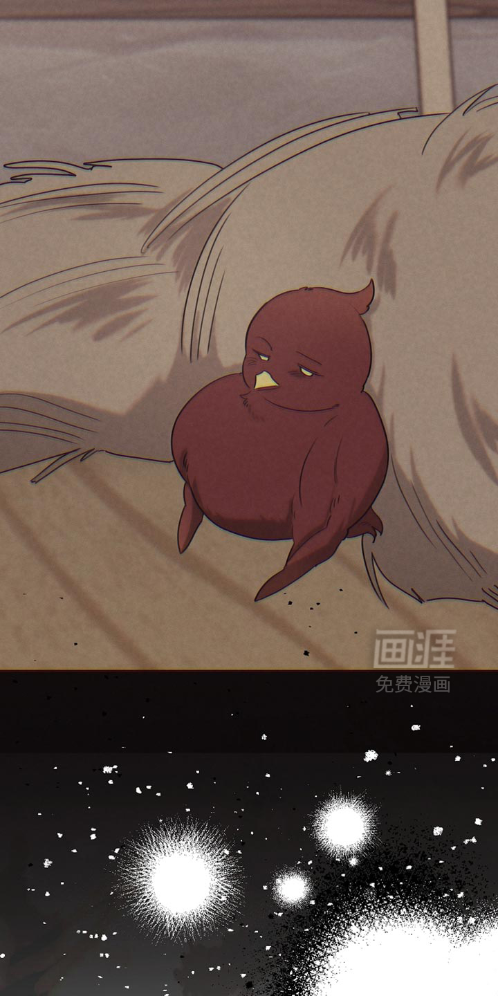 第126话15