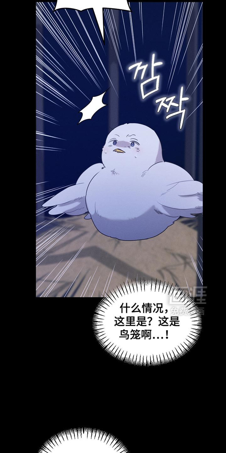 第125话26