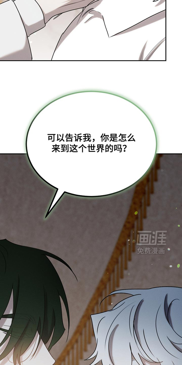第117话44