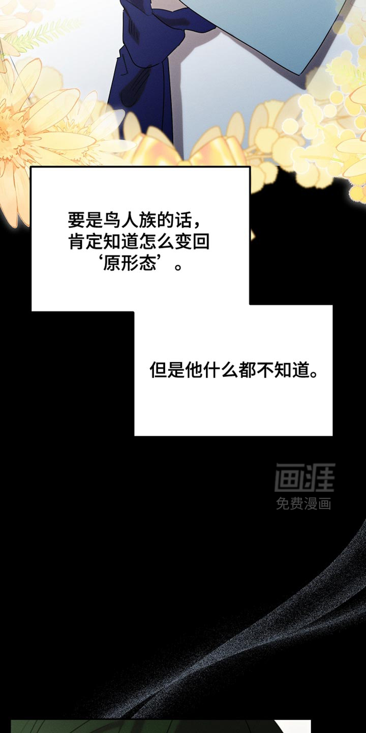 第117话18
