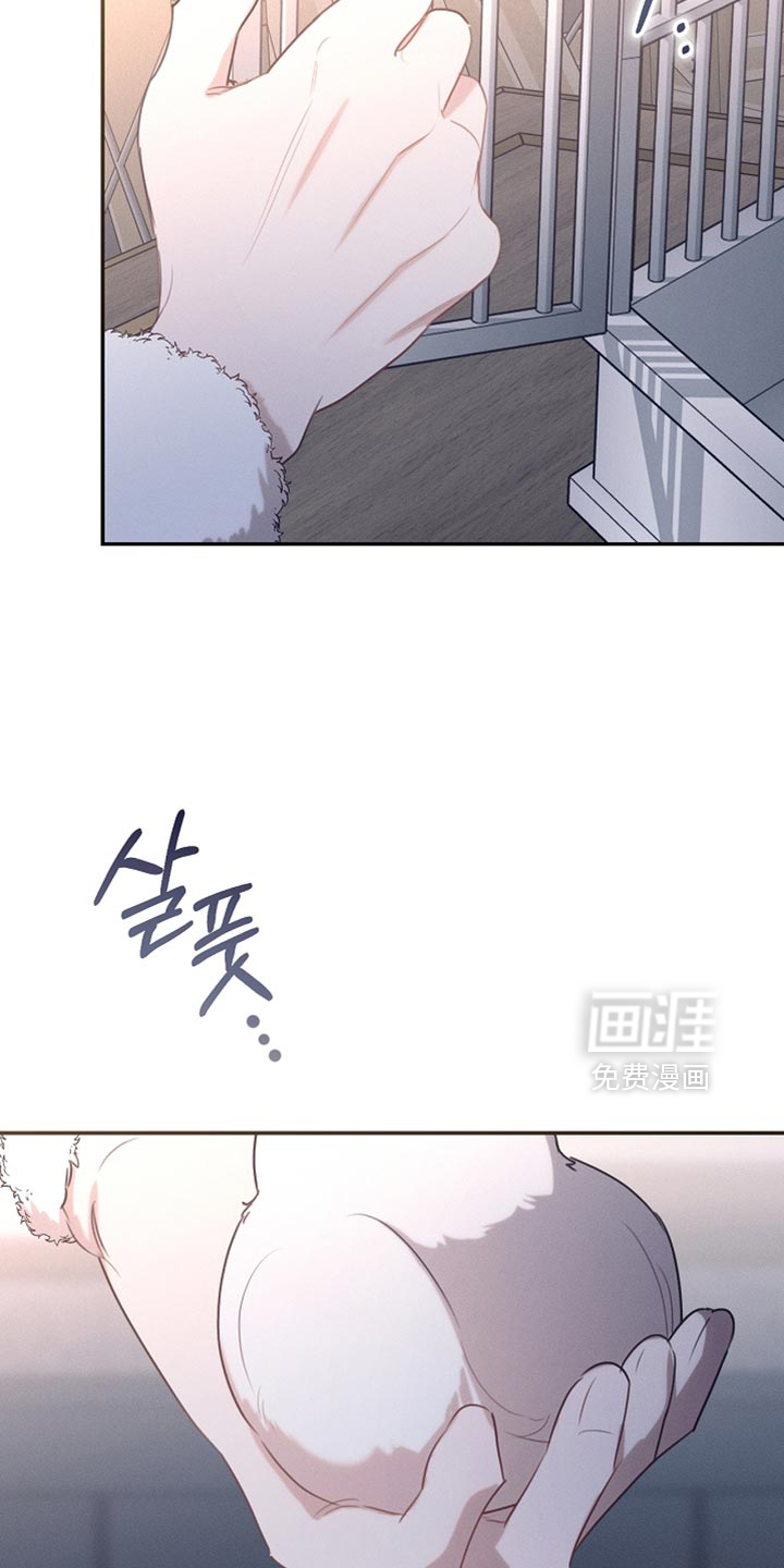 第111话22