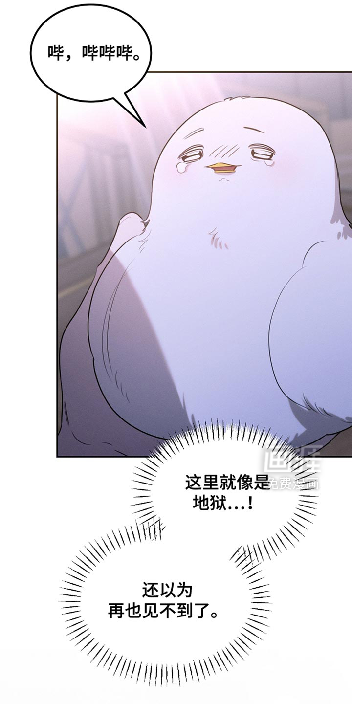 第111话24