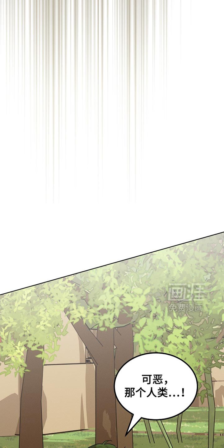 第104话7