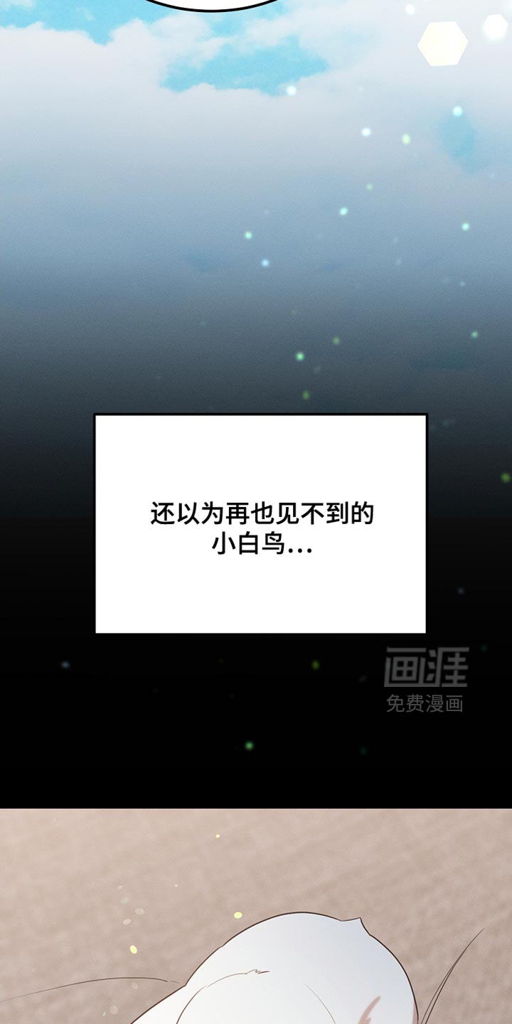 第99话39