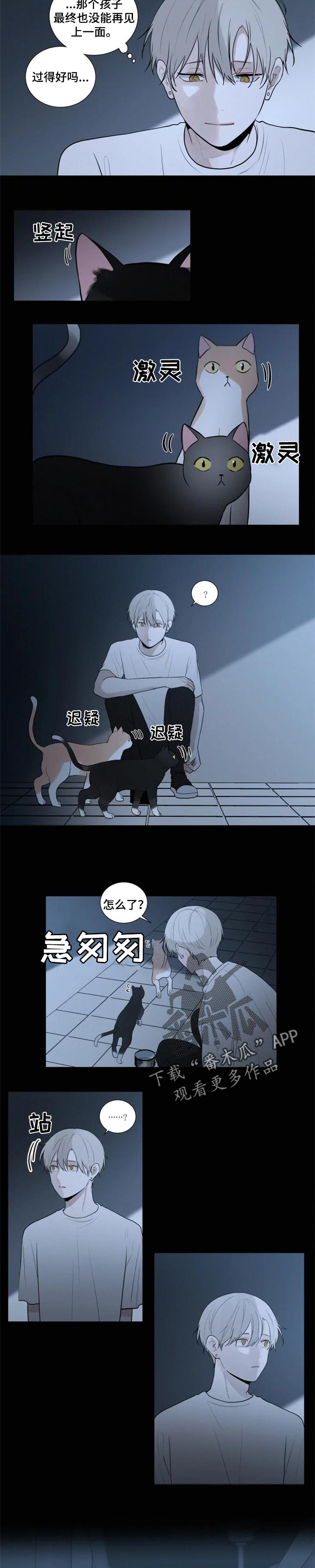 第99话 第2页