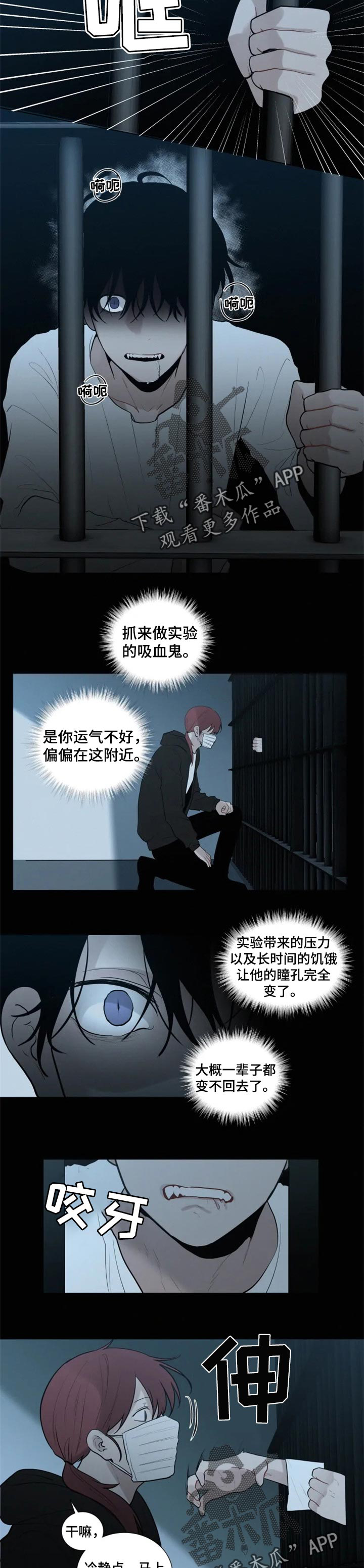第98话 第5页