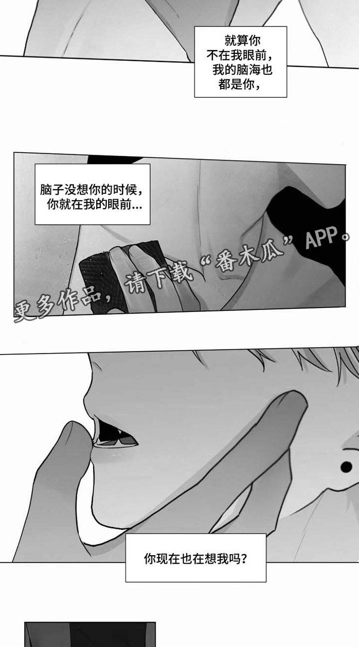 第36话 第14页